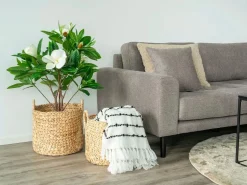 Les Tendances Set van 2 ronde decoratieve manden PASSO – Natuurlijke waterhyacint