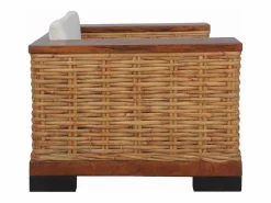 vidaxl Sillón con cojines ratán natural marrón
