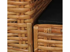 vidaxl Sillón con cojines ratán natural marrón