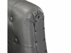 vidaxl Sillón de cuero auténtico Gris