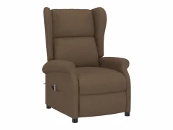 Online Sillón de salón | Silla | Sillón orejero reclinable eléctrico tela marrón SHL5999 Marru00f3n