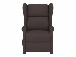 Sale Sillón de salón | Silla | Sillón orejero reclinable eléctrico de tela marrón oscuro SHL3871 Sillón Relax