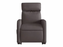 Online Sillón de salón | Silla | Sillón masaje eléctrico reclinable elevable tela marrón oscuro SHL8888 Sillón De Masaje