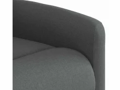 Online Sillón de salón | Silla | Sillón de masaje reclinable de tela gris oscuro SHL7928 Gris antracita