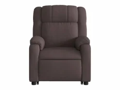 Sillón de salón | Silla | Sillón masaje eléctrico reclinable elevable tela marrón oscuro SHL5431