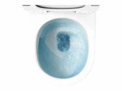 Clearance Taza De Inodoro Wc Richard White Inodoro Suspendido