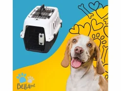Sale AHD Transportín rígido jaula para animales con almohadilla 30 x 45 x 30 cm Rexxy M. Multicolor