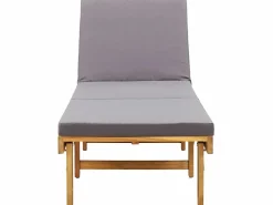 vidaxl Tumbona plegable con cojín madera maciza de acacia