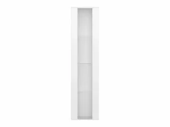 Clearance Vitrina 40×29×170 cm - iluminación LED multicolor con mando - divisiones de cristal - Vitrina