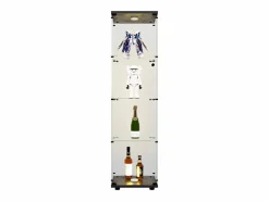 Sale Vitrina de cristal - mueble expositor para colecciones con iluminación LED - 1 puerta y 4 estantes - vitrina para figuras Vitrina
