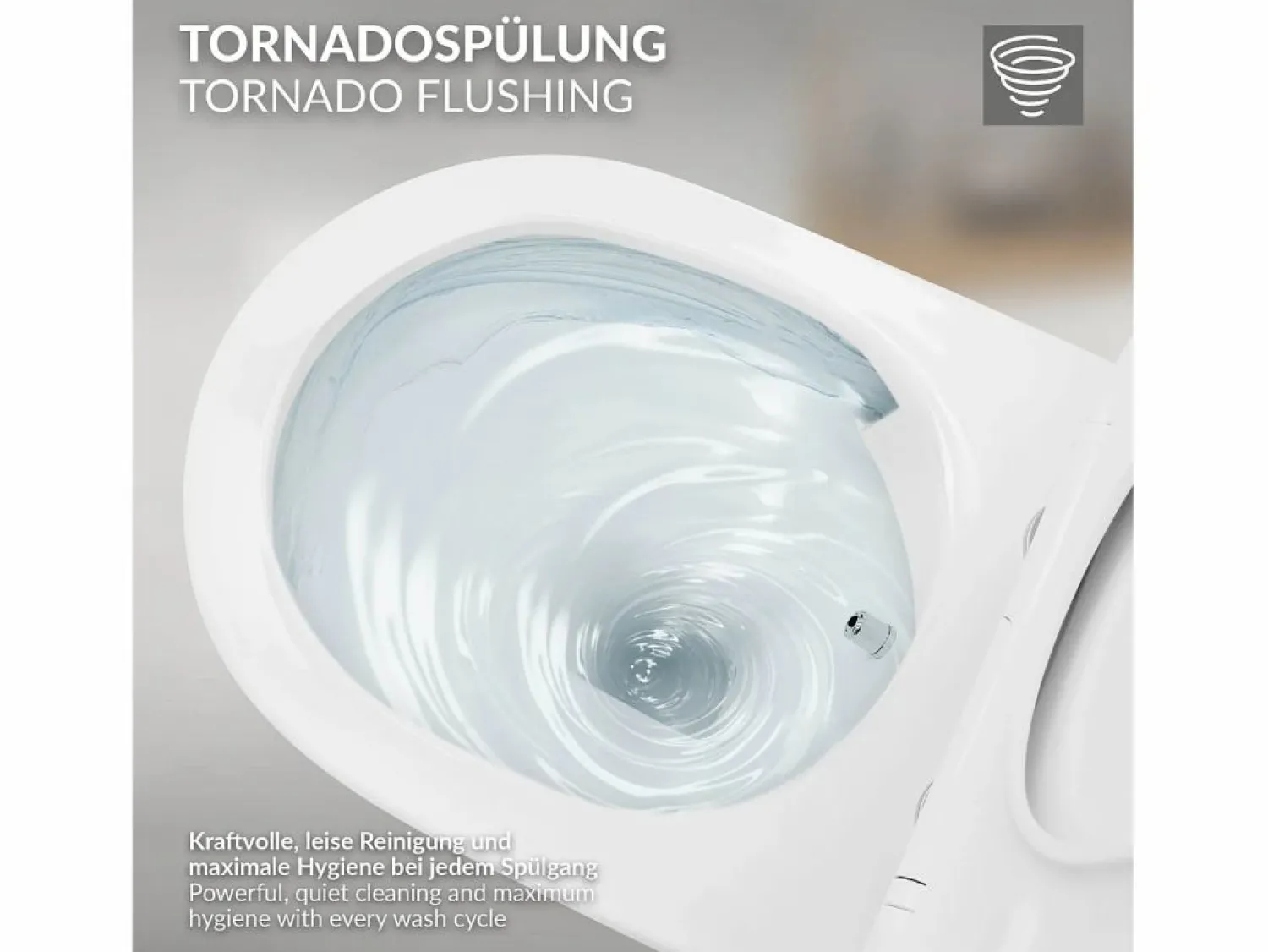 Discount LuxeBath WC Cerámico suspendido con bidé sin reborde corto con sistema softclose Blanco