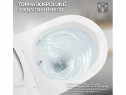 Clearance LuxeBath WC Cerámico suspendido con bidé sin reborde corto con sistema softclose Blanco