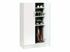 Venprodin Zapatero 2 Puertas - 171X60X35