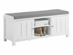 Sobuy Zapatero con Dos Puertas Cerradas y Dos Estantes, Almacenamiento y Banco con Cojín en Superior，Armarios, FSR35-W ES