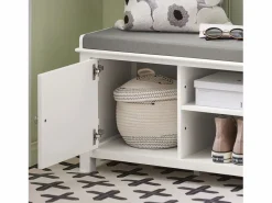 Sobuy Zapatero con Dos Puertas Cerradas y Dos Estantes, Almacenamiento y Banco con Cojín en Superior，Armarios, FSR35-W ES