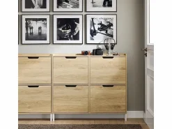 Sobuy Zapatero Estrecho con 4 Solapas Organizador FSR100-N ES